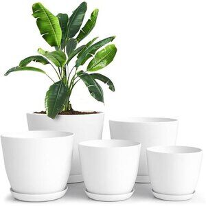 5X Plant Pots Drainage Home Decor Flower Indoor Planter Cactus, Succulents White